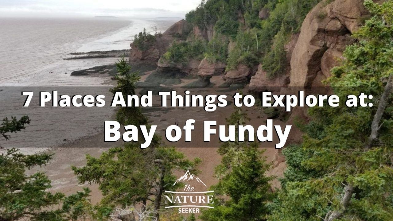 Things to See And do at Bay of Fundy