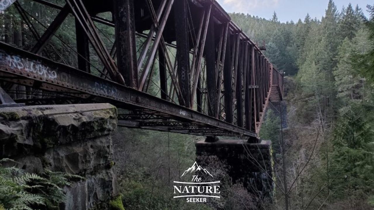 abandoned trestles like vance creek bridge and high steel bridge 01