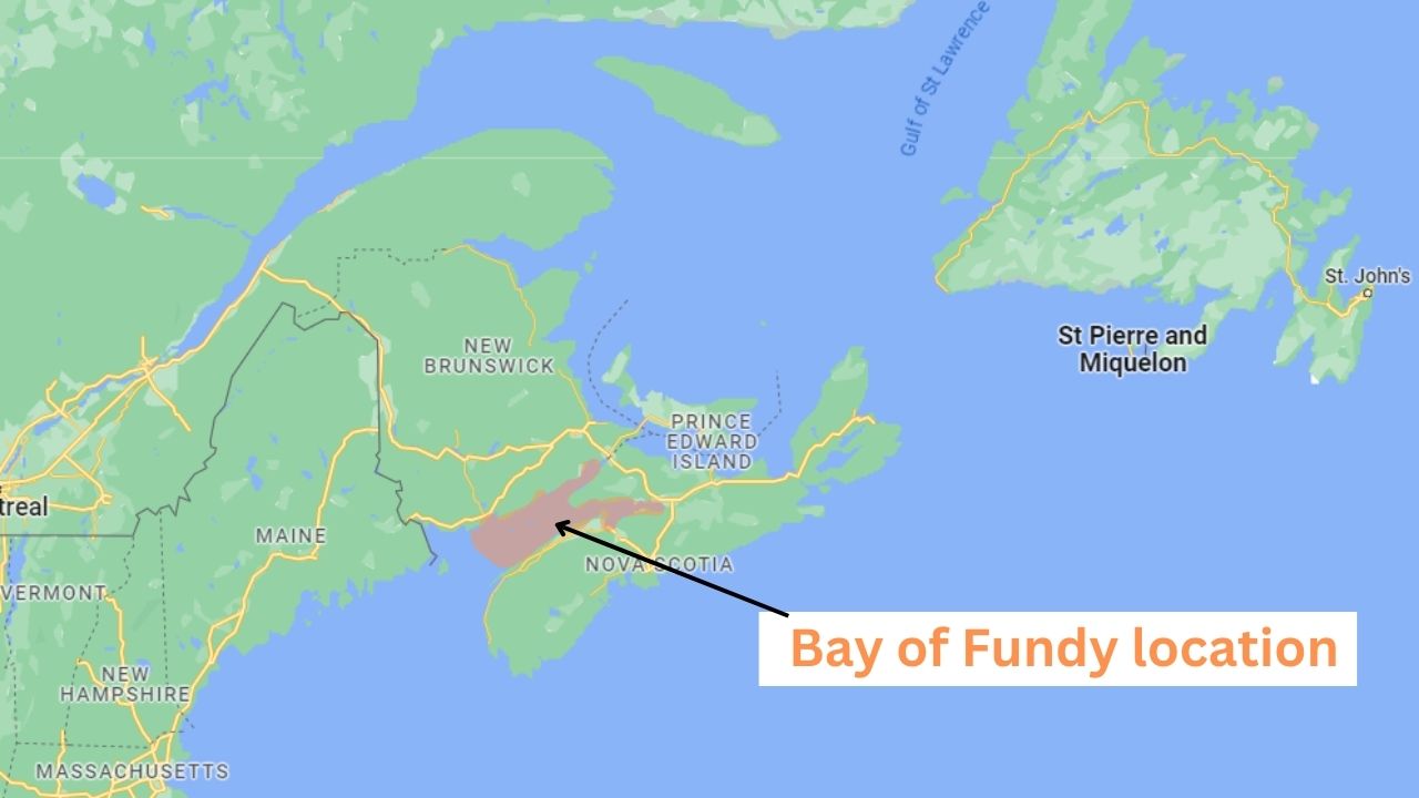 bay of fundy location new 04
