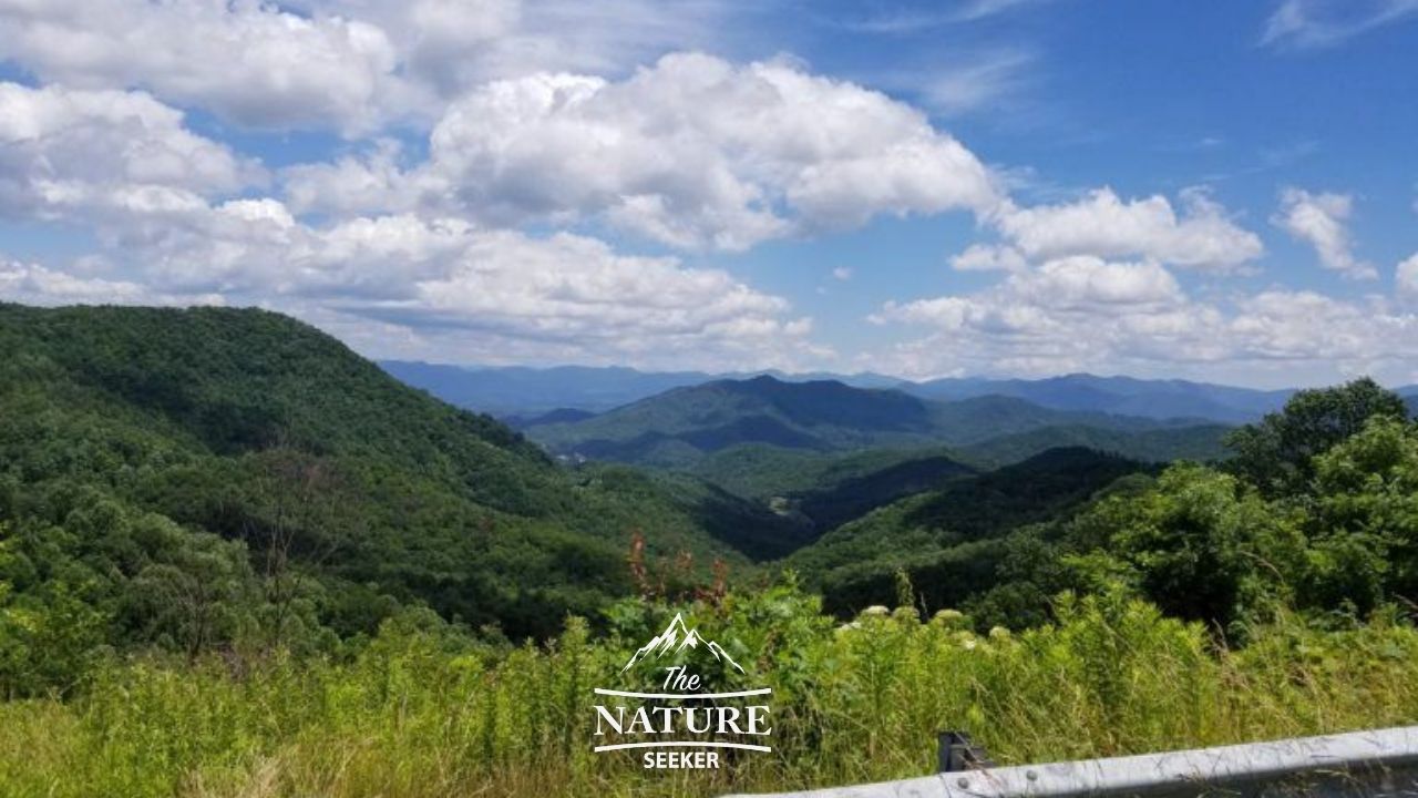 blue ridge overlook of Appalachian mountains 07