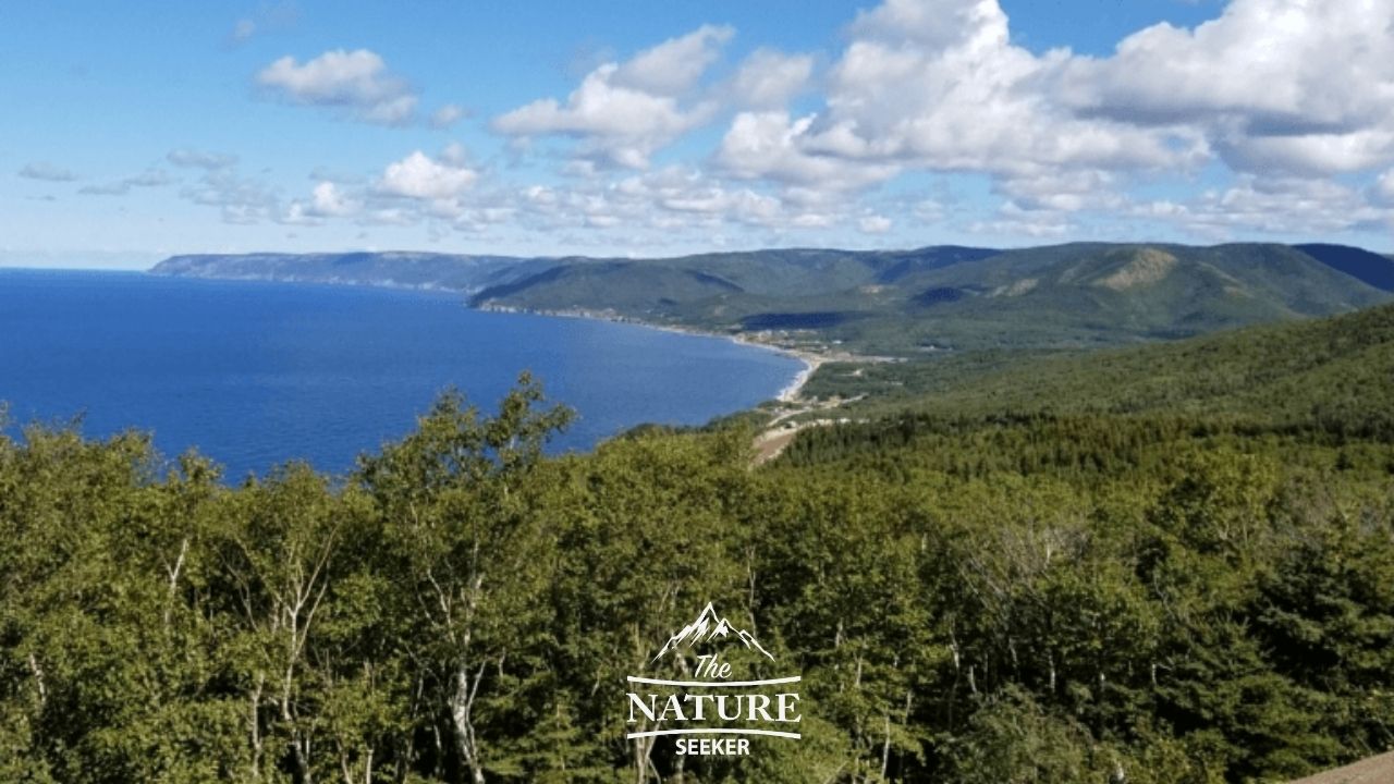 cabot trail the highlands scenic view 09
