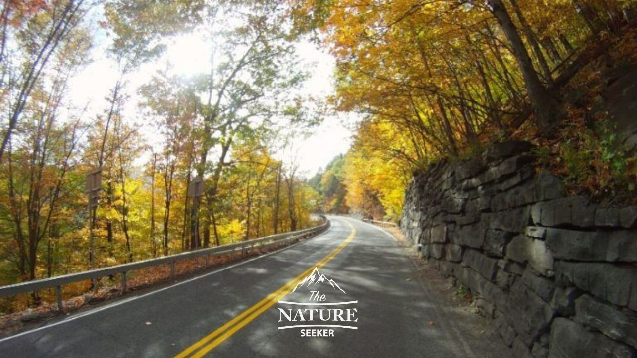 catskill mountains scenic drive on the appalachian trail 02