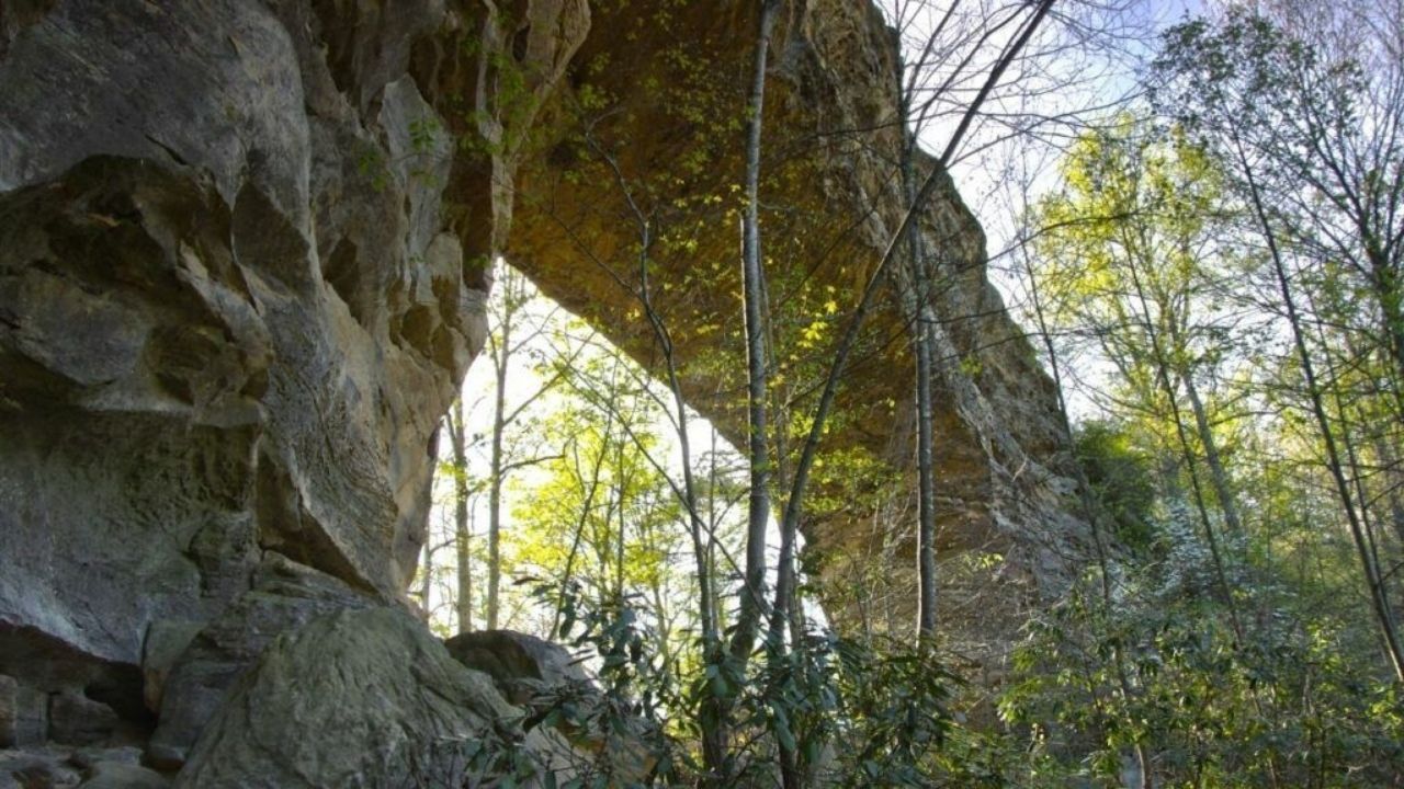 daniel boone national forest scenic drive near appalachian mountains