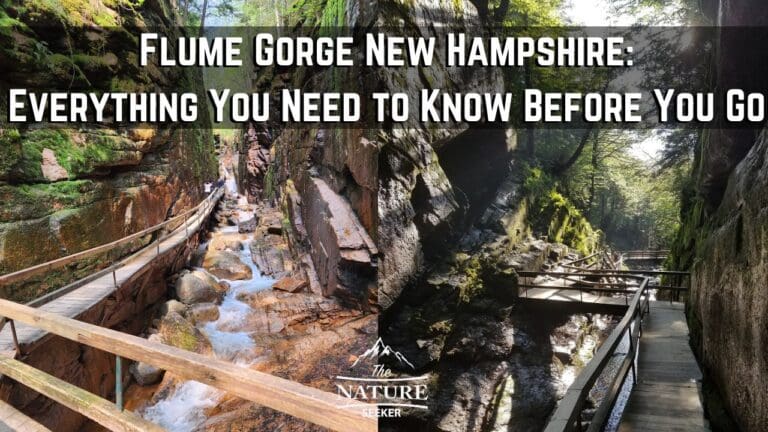 5 Things to Know Before Visiting Flume Gorge New Hampshire