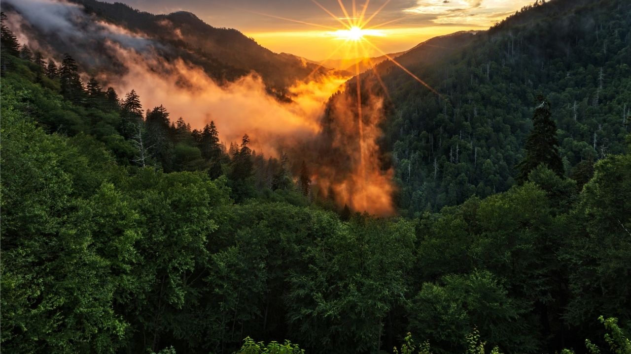 great smoky mountains national park in the blue ridge mountains 04