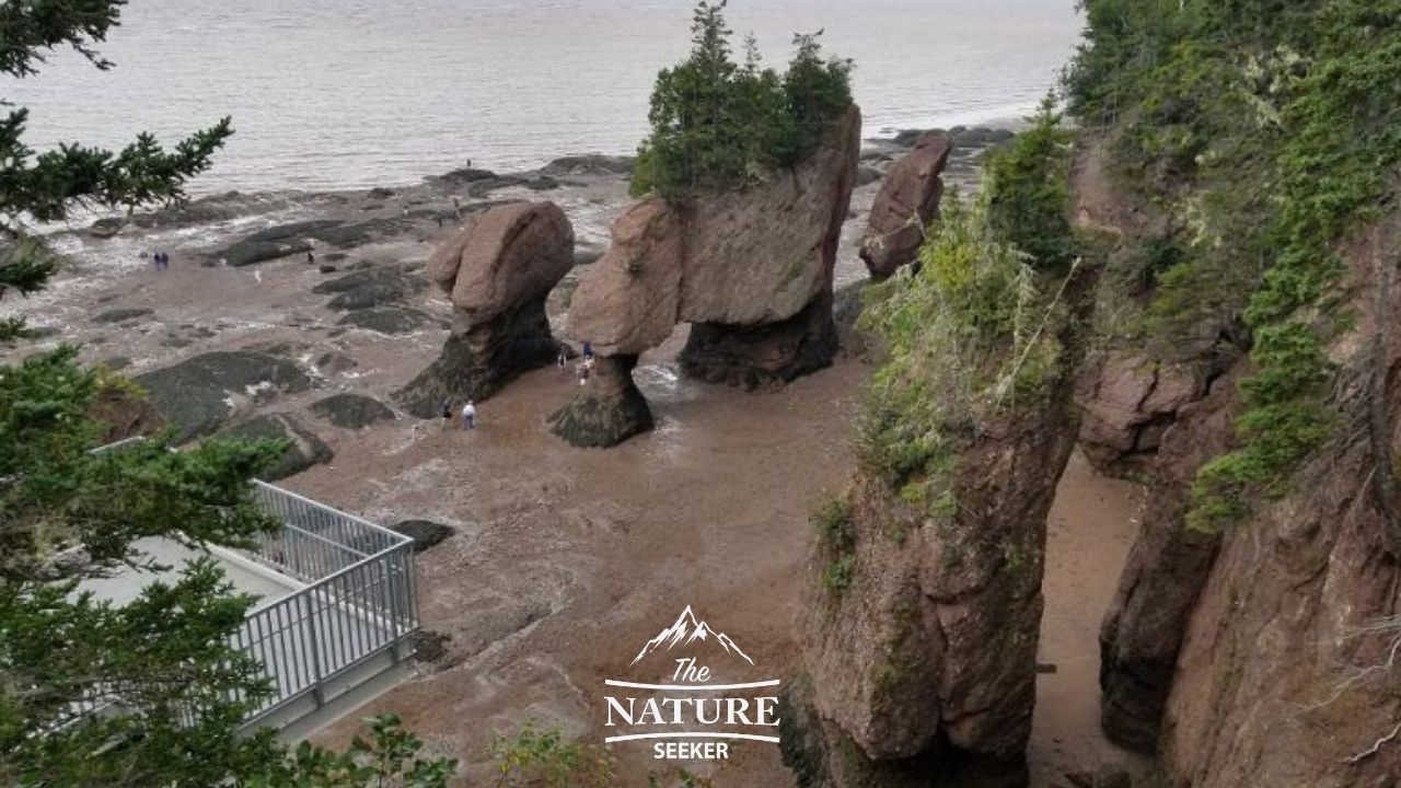 hopewell rocks bay of fundy near appalachian trail 01