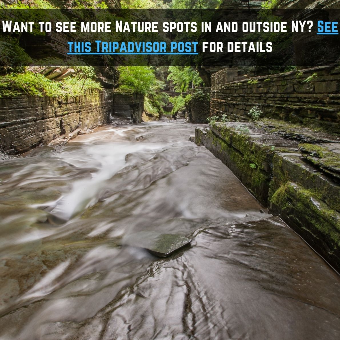 new york nature tripadvisor suggestion 05