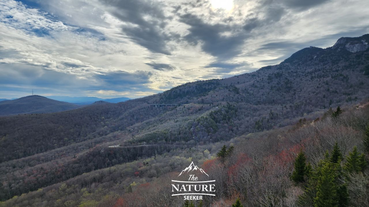 The Best Time to Visit the Blue Ridge Mountains