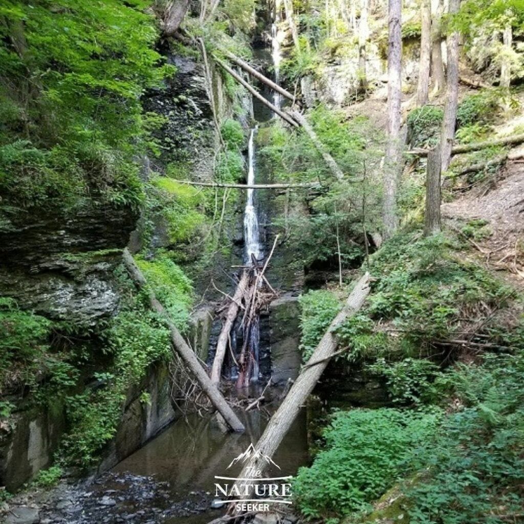 silverthread falls at delaware water gap hike