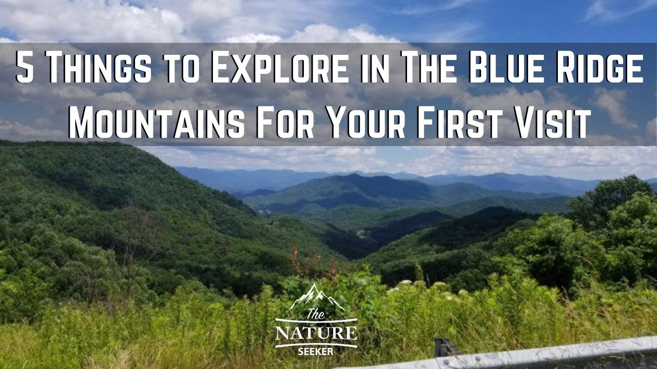 5 Things To Do In The Blue Ridge Mountains For First Timers