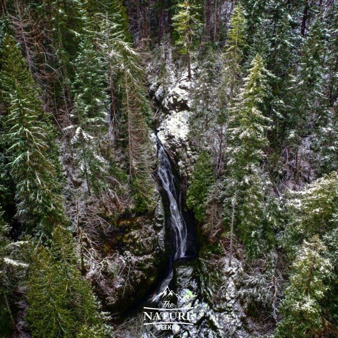 waterfall by high steel bridge in olympic national forest 01