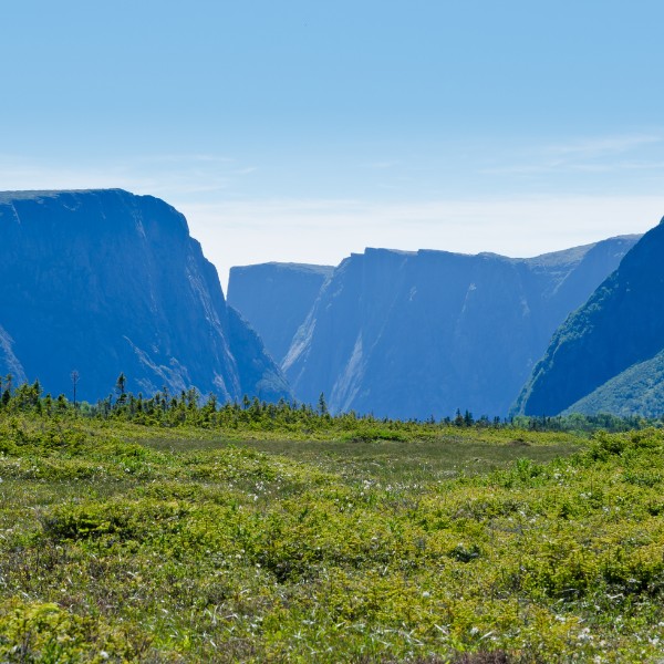 western brook pond trail 01