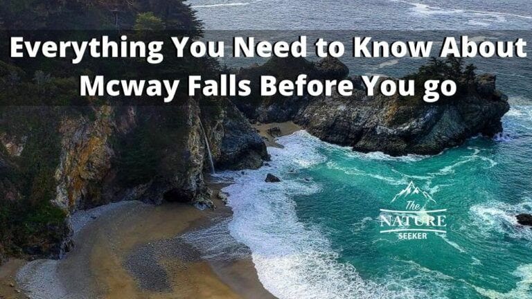 A First Time Visitor Guide to McWay Falls