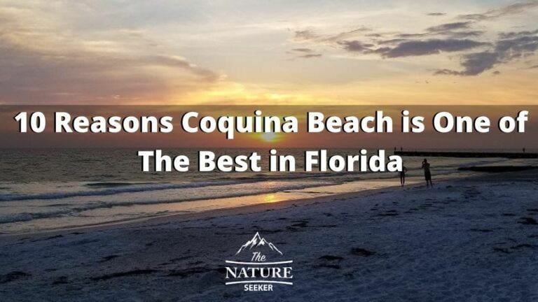 10 Best Things to do in Coquina Beach Florida