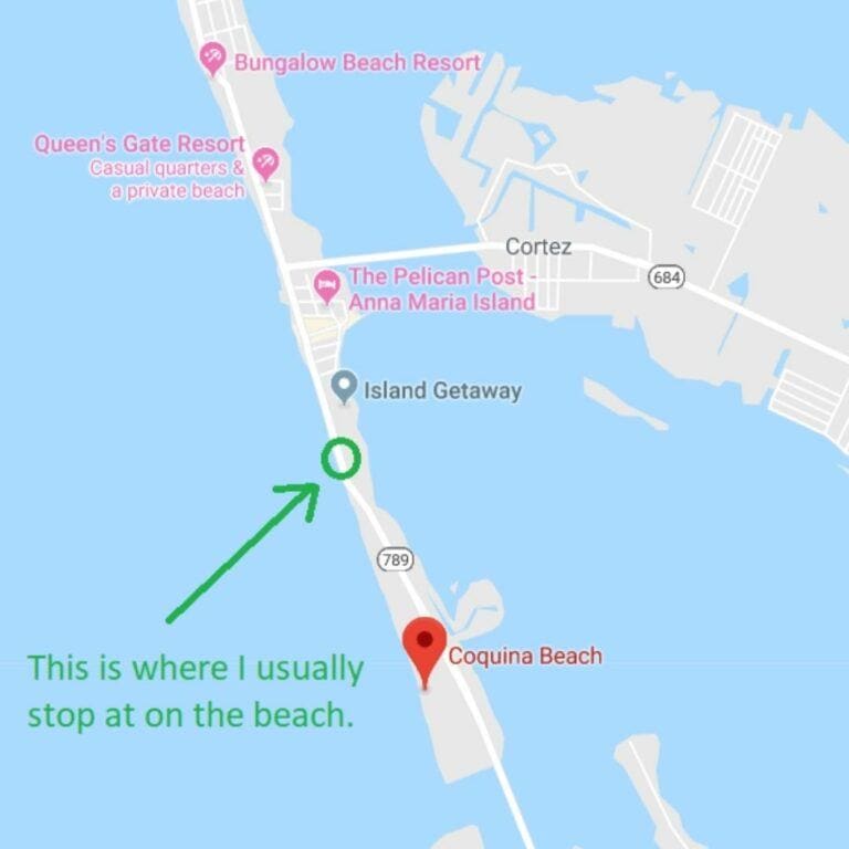 10 Best Things to do in Coquina - Where To Find Coquina Beach In Brandenton 02 768x768