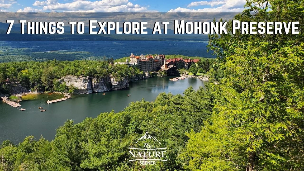 7 things to do at mohonk preserve 02