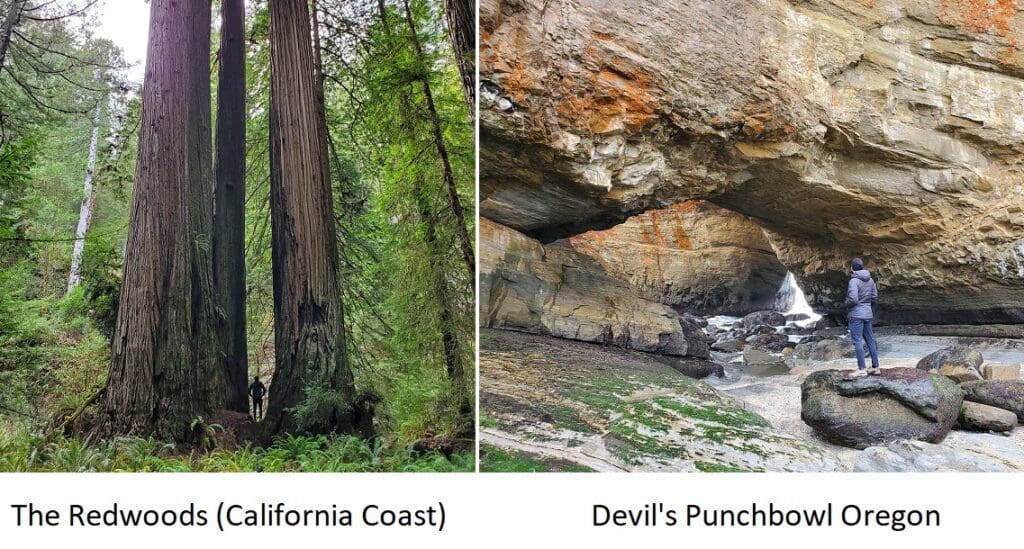 california coast vs oregon coast 5
