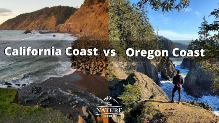 California’s Coast vs The Oregon Coast. Which is Prettier?