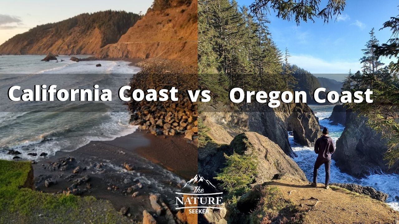 california coast vs the oregon coast comparison 09