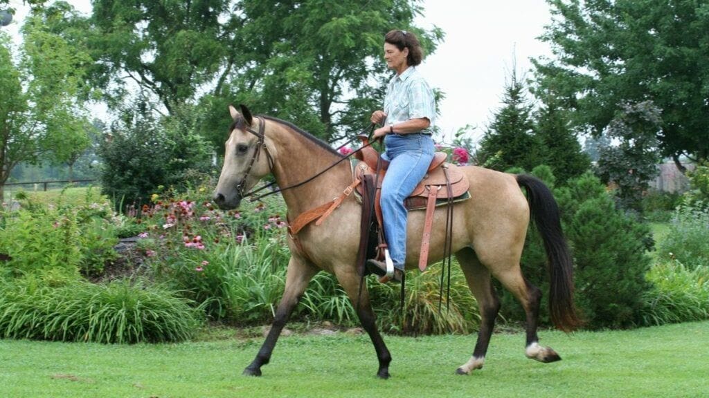 horseback riding at mohonk preserve