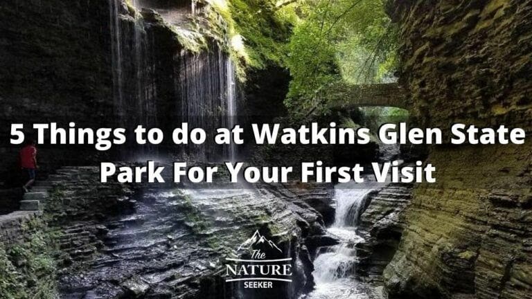 5 Things to do in Watkins Glen State Park For First Timers