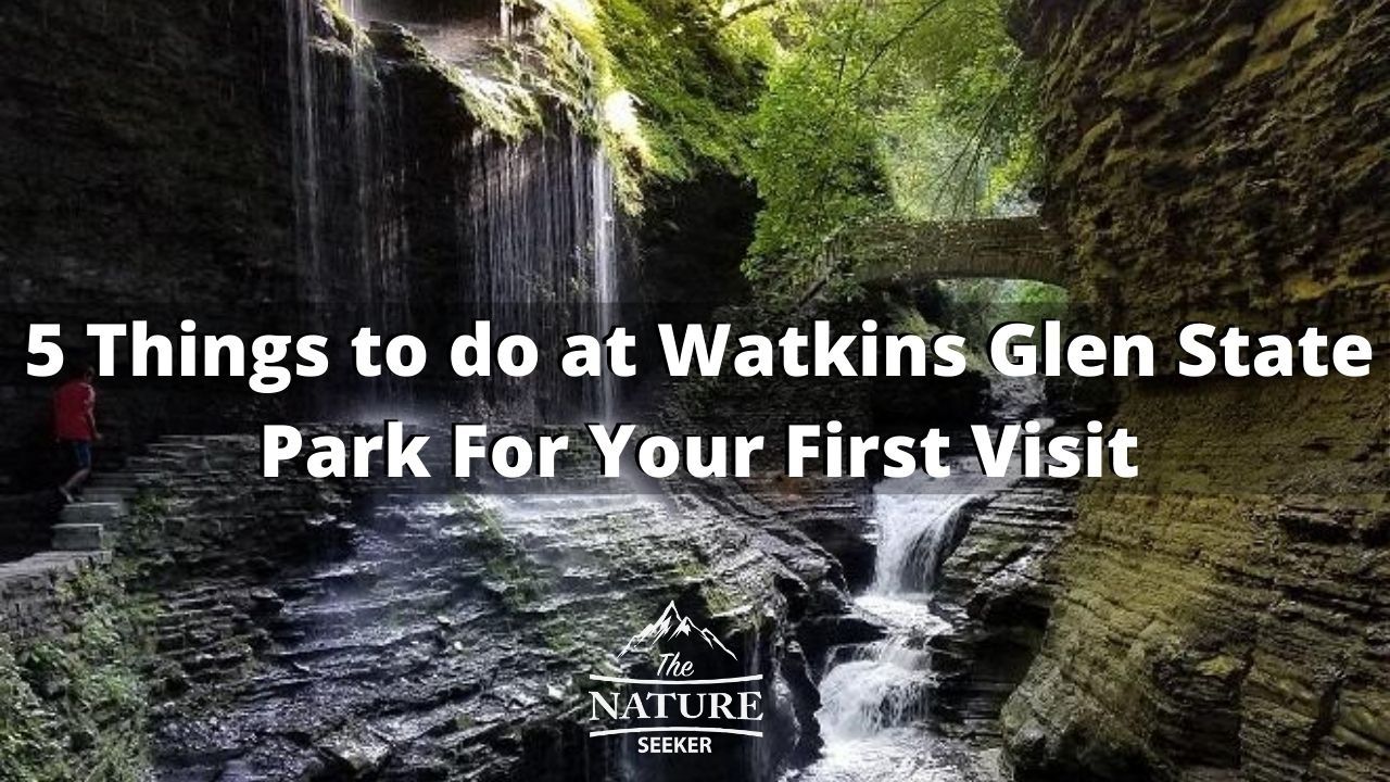 things to do at watkins glen state park for first time visitors