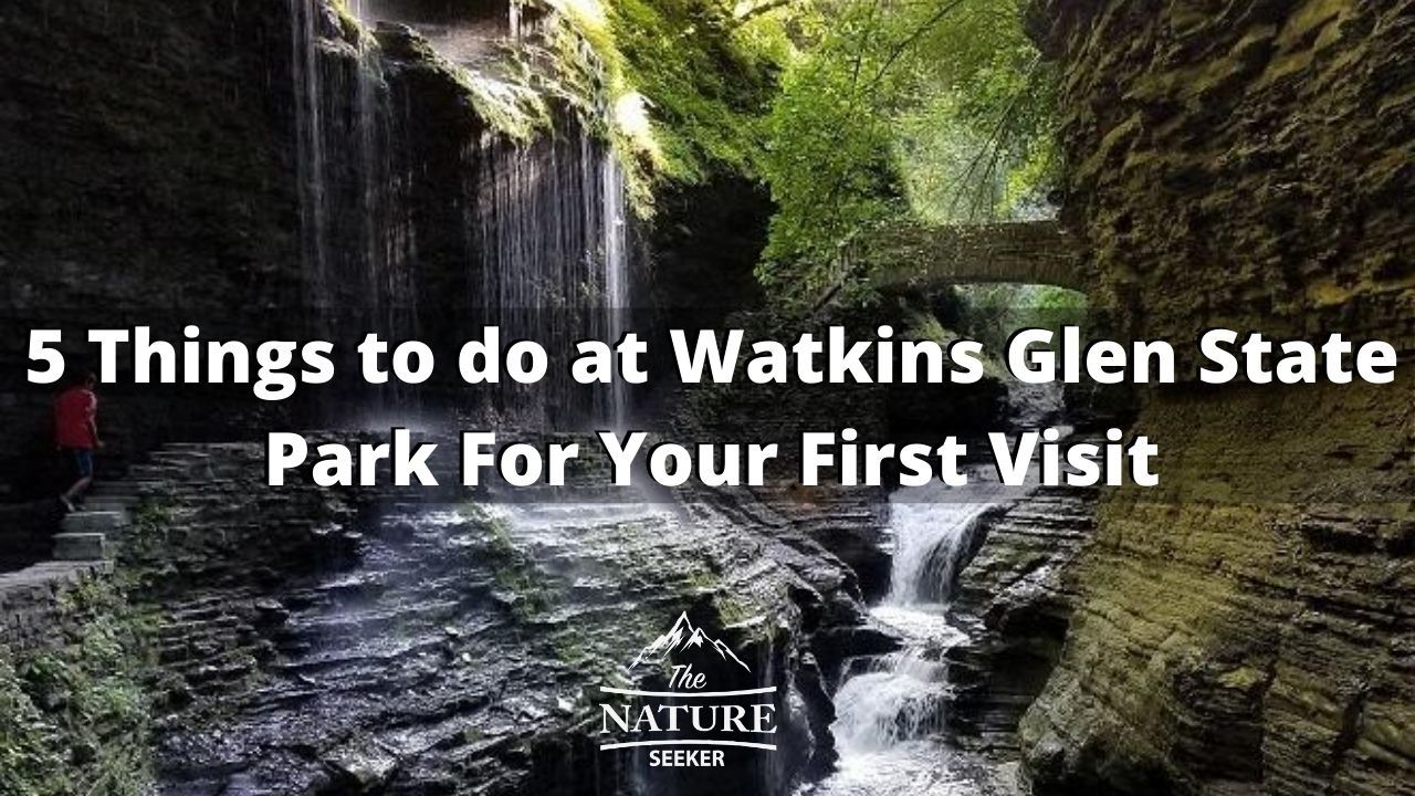 watkins-glen-state-park-5-things-to-do-for-first-timers