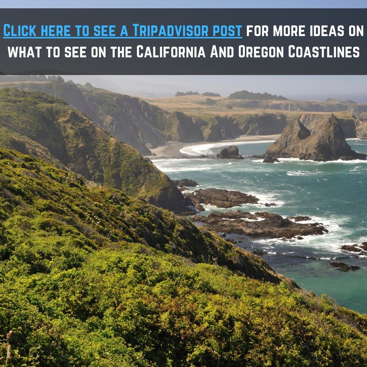tripadvisor california coast vs oregon coast post
