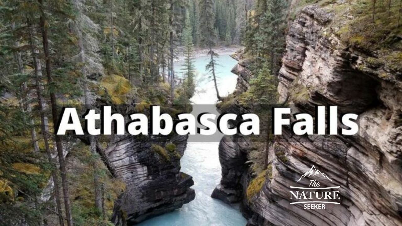 places to see in the canadian rockies athabasca falls