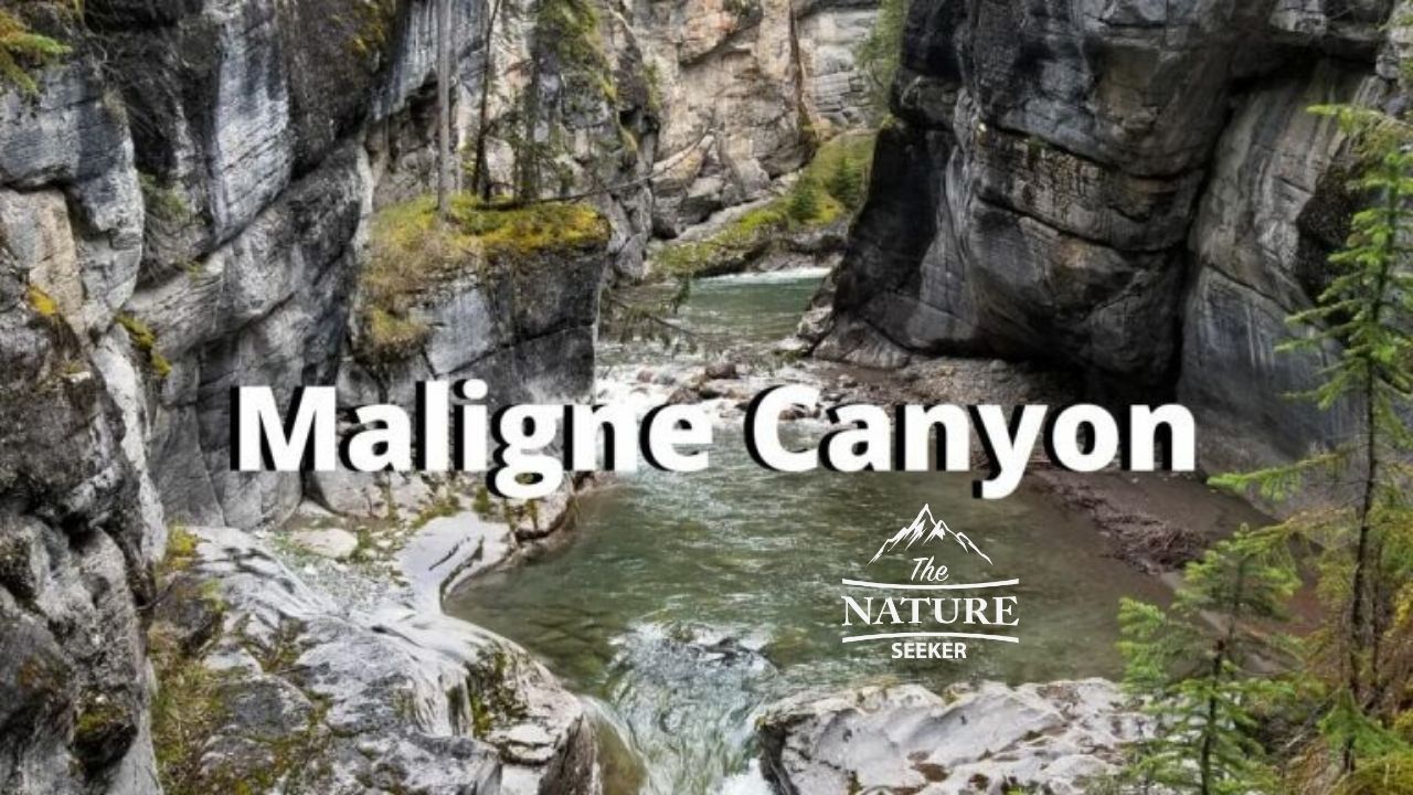 places to see in the canadian rockies maligne canyon 02