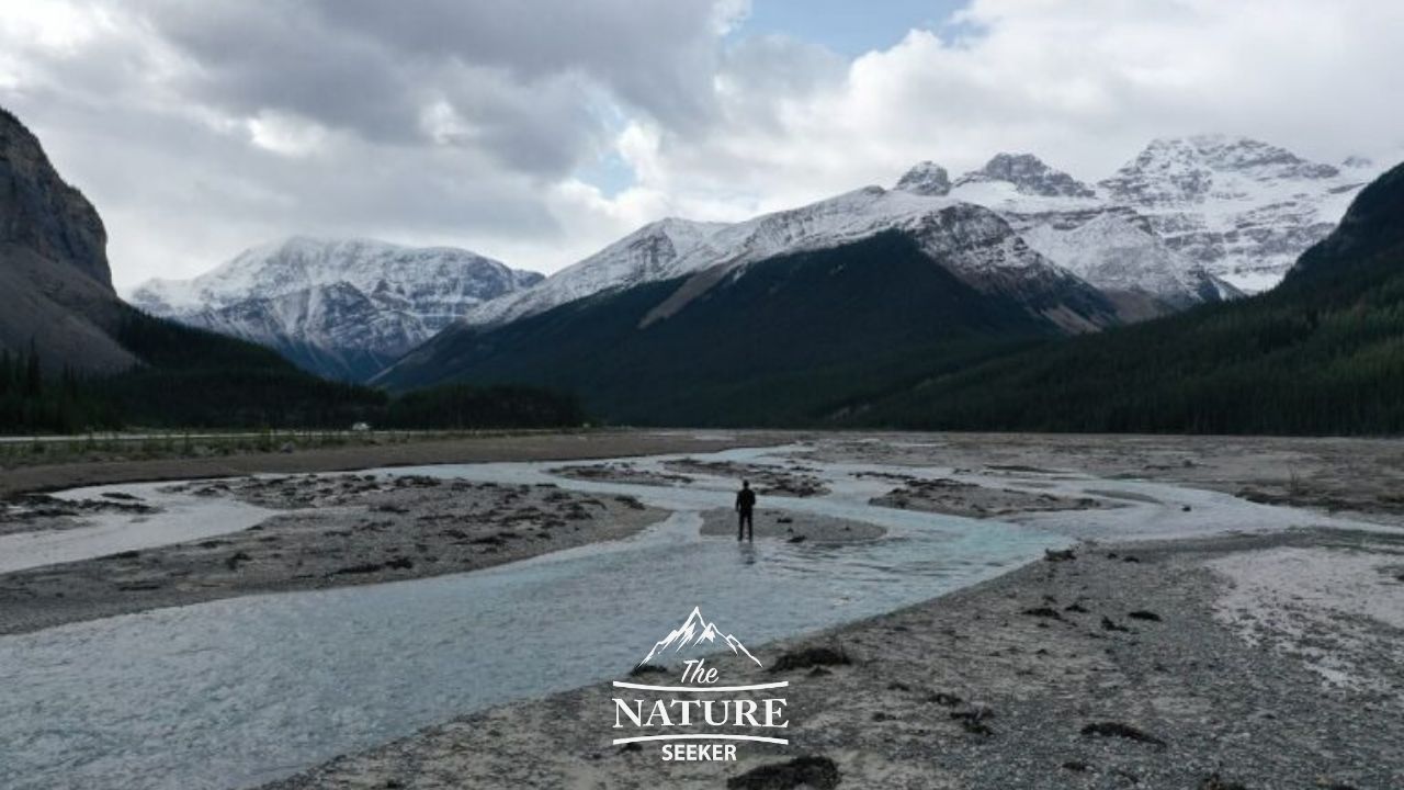 places to see on icefields parkway off the highway 04