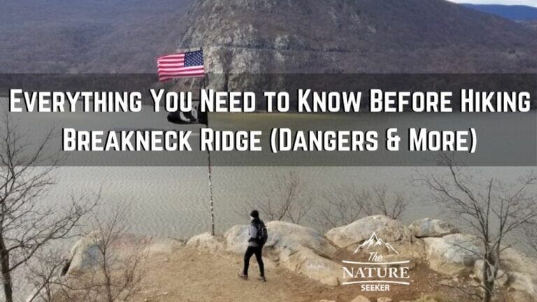 A Beginners Guide to The Breakneck Ridge Hike