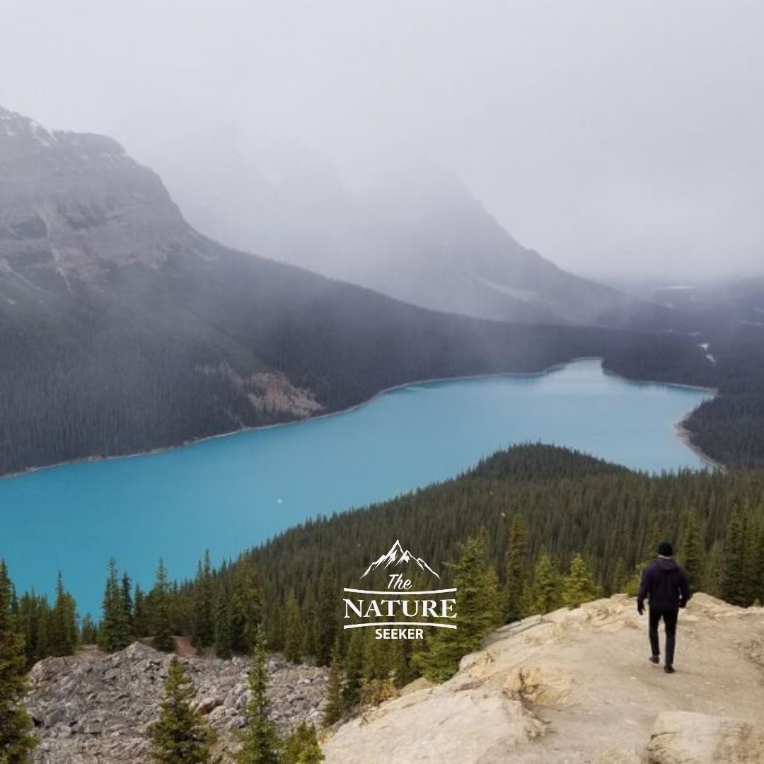 peyto lake in canada 4 | The Nature Seeker peyto lake in canada 4