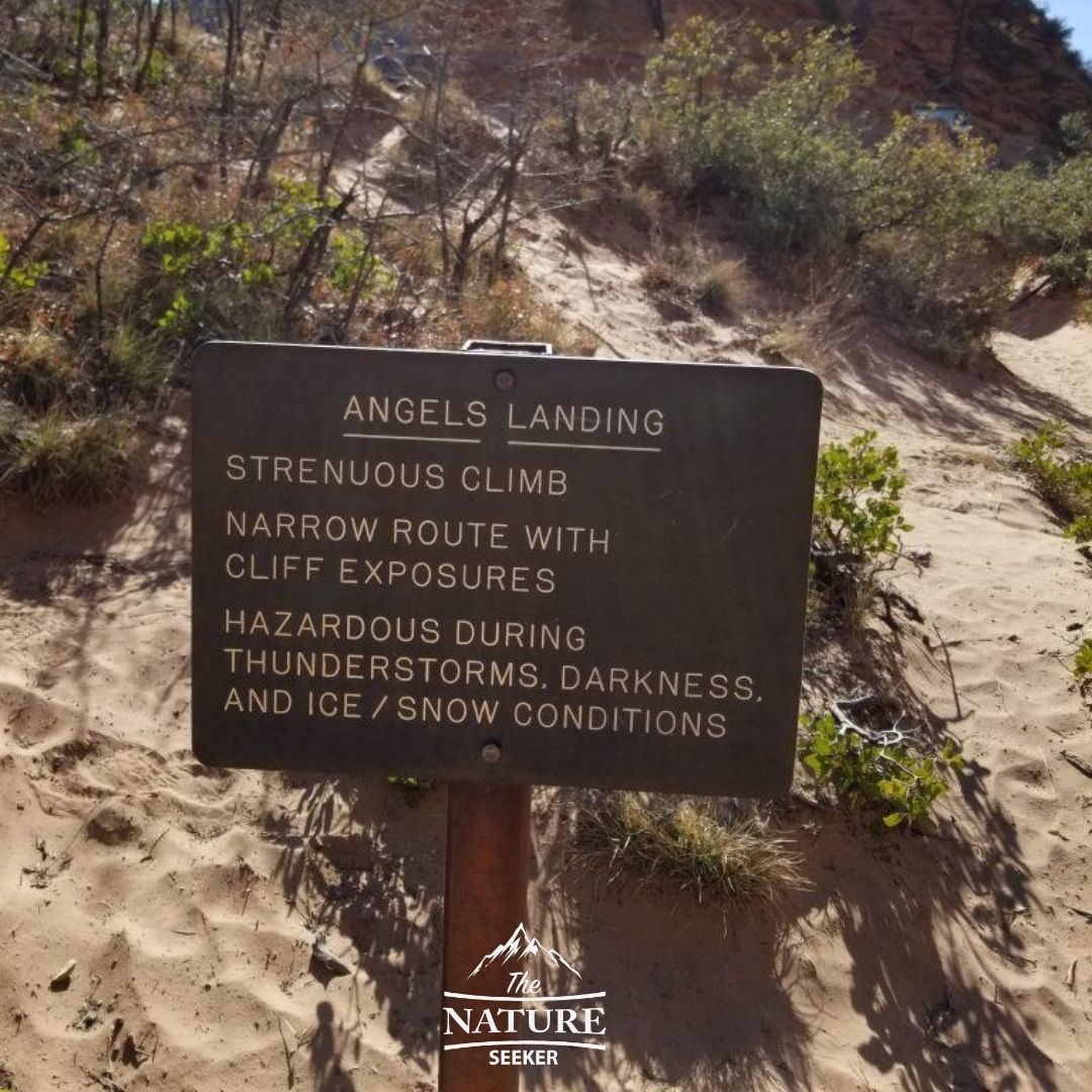 angels landing dangers vs observation point 04