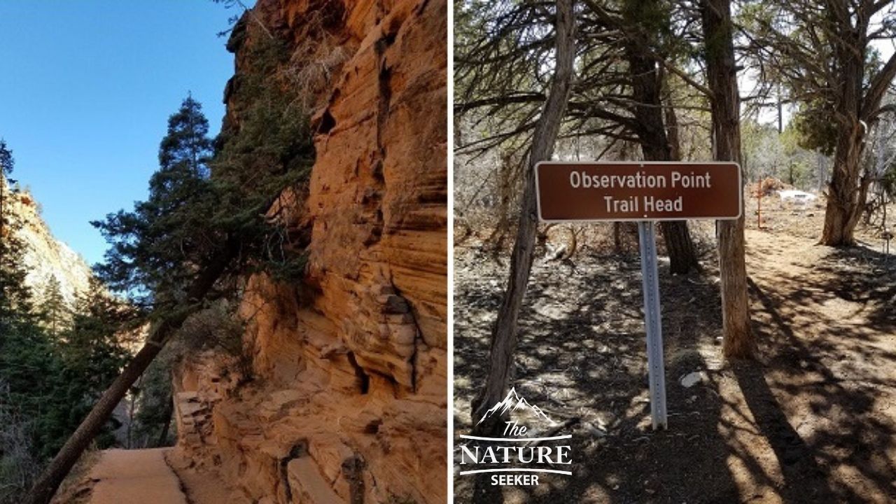 angels landing vs observation point hiking trails 02