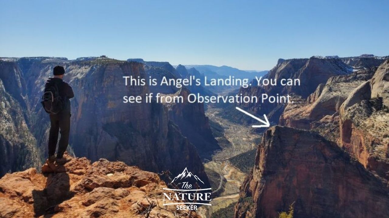 angels landing vs observation point viewing area 03