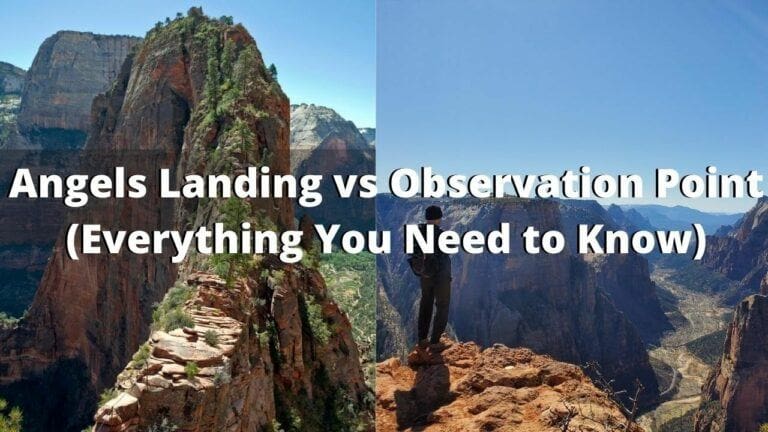 Angels Landing Vs Observation Point: Which Trail is Better?