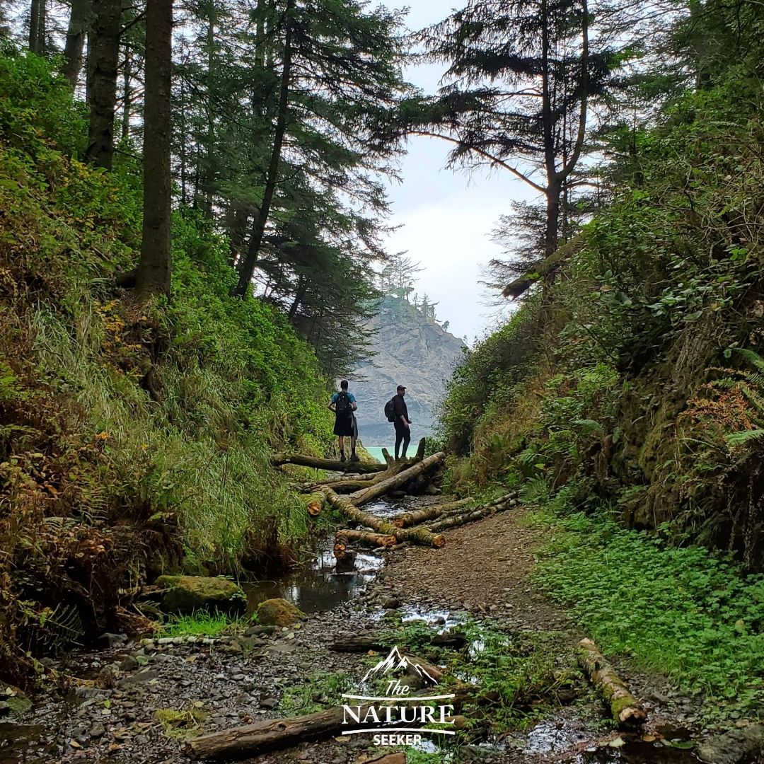 hiking through secret beach on the oregon coast