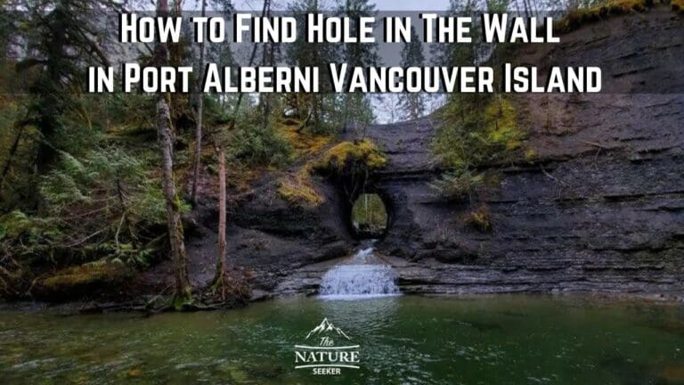 How to Find Hole in the Wall Waterfall on Vancouver Island