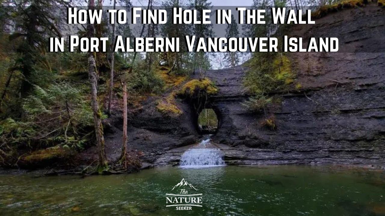 hole in the wall port alberni new 01