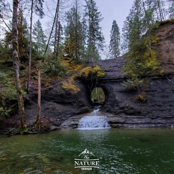 hole in the wall vancouver island new 09