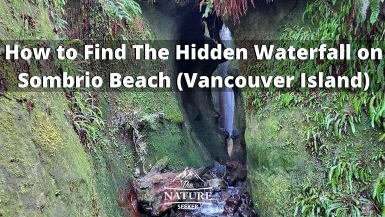 How to Find The Hidden Sombrio Beach Waterfall