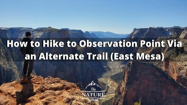 How to Hike to Observation Point if The Main Trail is Closed