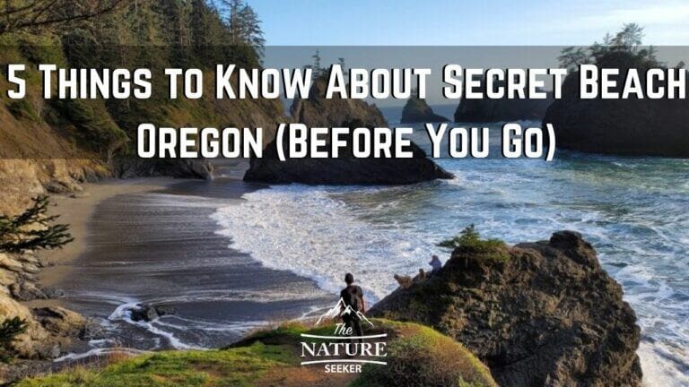 5 Things About Secret Beach Oregon That You Need to Know