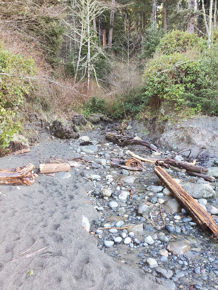 sombrio beach creek to hidden waterfall