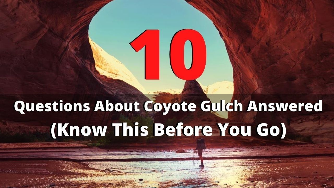 10 questions about hiking coyote gulch answered 01