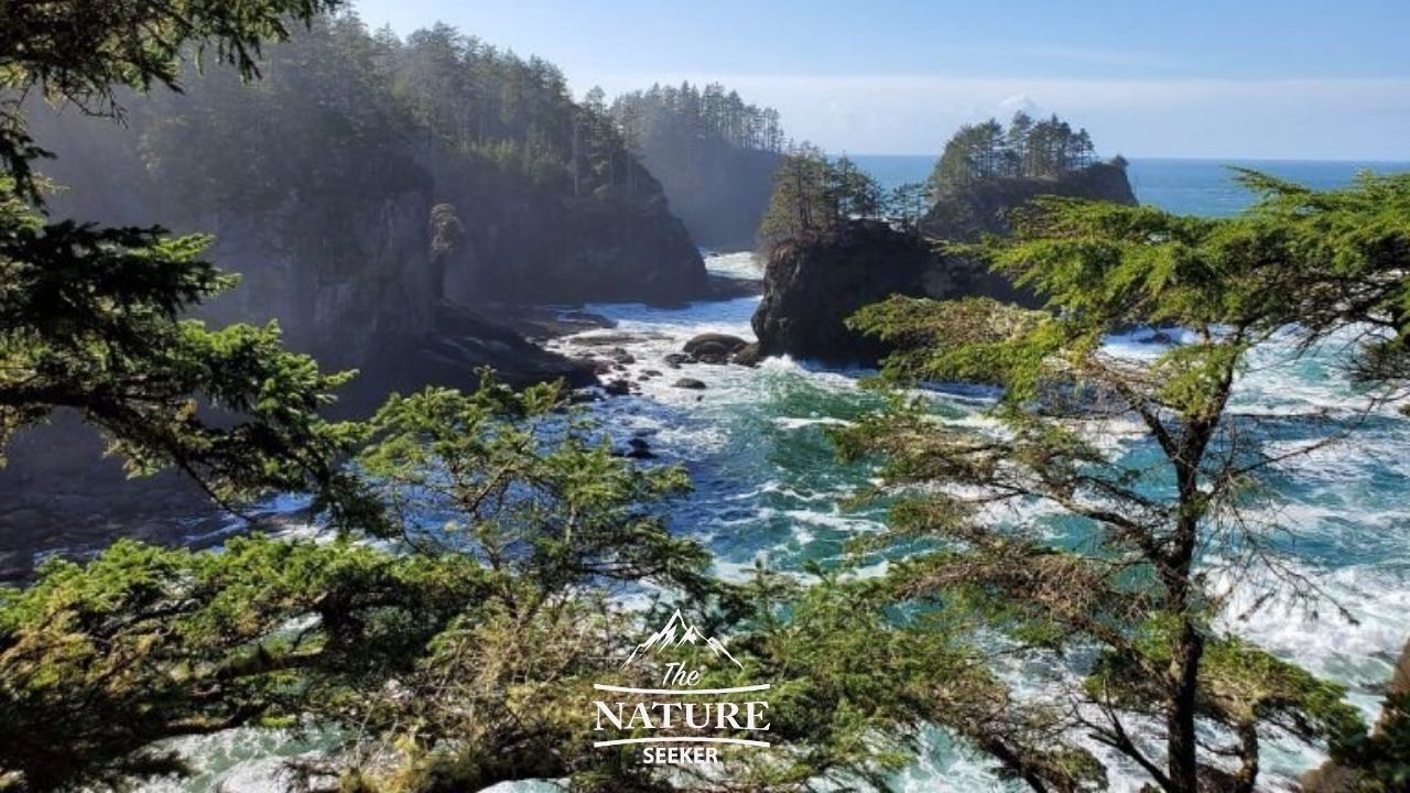 cape flattery overlook 01