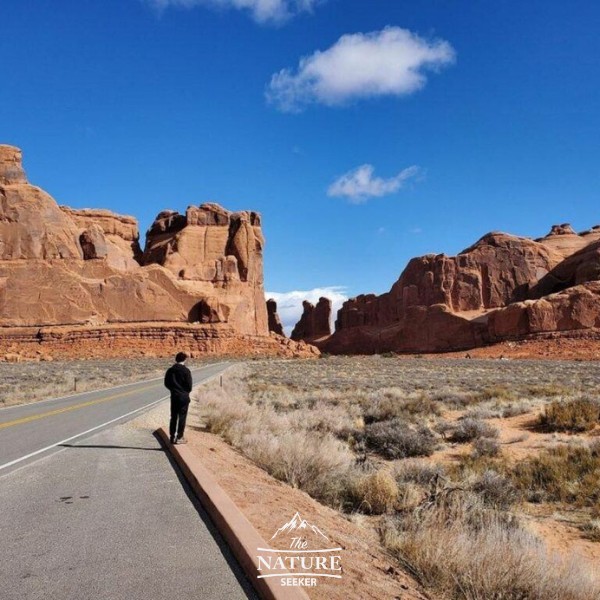 la sal viewpoint arches national park one day new 02