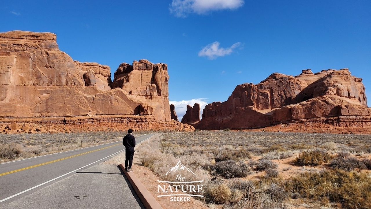 la sal ponto de vista no arches national park imagem 01