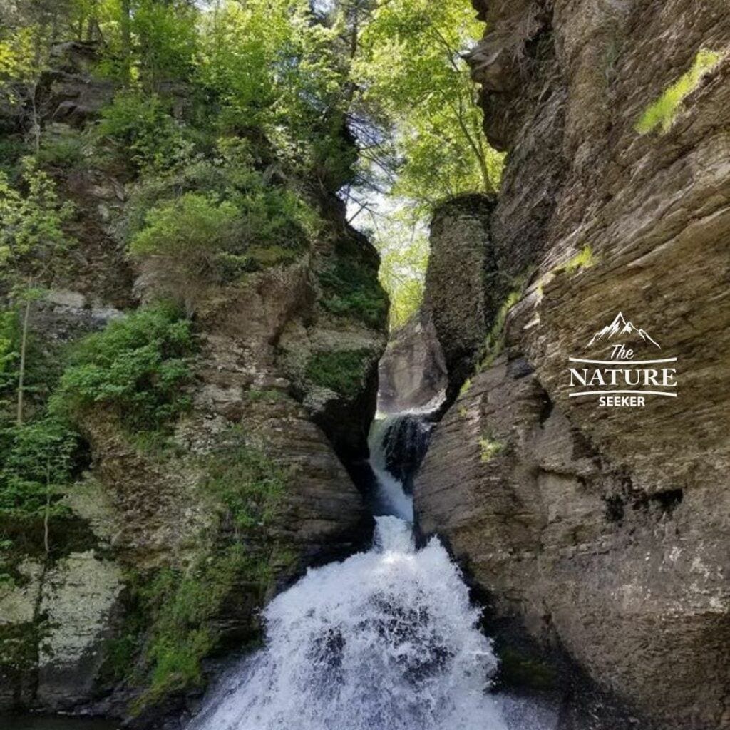 minekill falls located in new york state